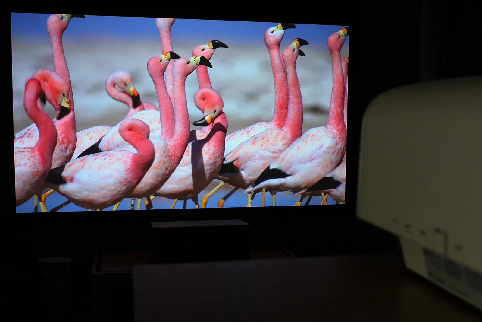 Sony VPL-VW290ES : mise en situation