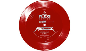le Flexi disque
