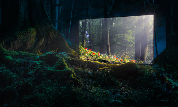 Découvrez tout le potentiel des TV OLED