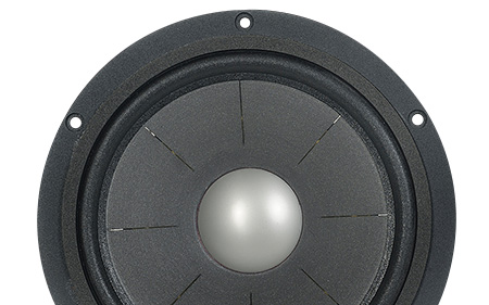 Haut-parleur Davis Acoustics 20DE8 de face.