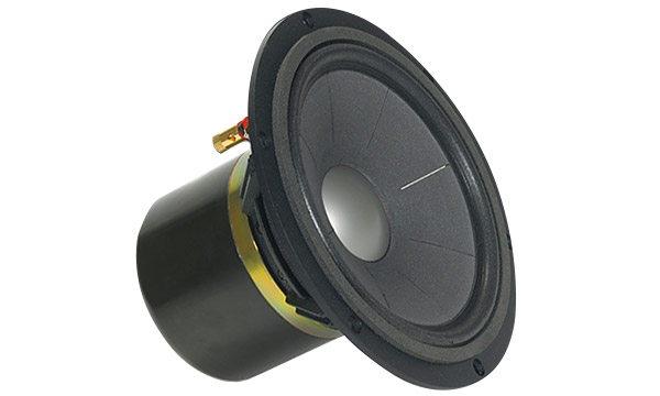 Haut-parleur Davis Acoustics large bande 20DE8.
