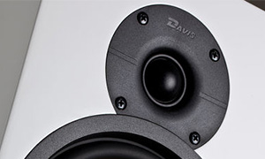 Détail de l'enceinte colonne Maya.