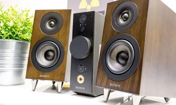                                                                     Test :
                                                                Mini-chaîne hi-fi Sony CAS-1
                            