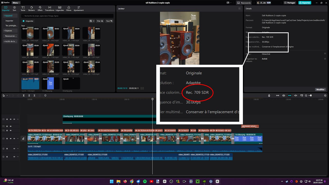 Par défaut, le logiciel de montage Capcut utilise l'espace colorimétrique DCI-P3, le même qu'utilisé au cinéma.