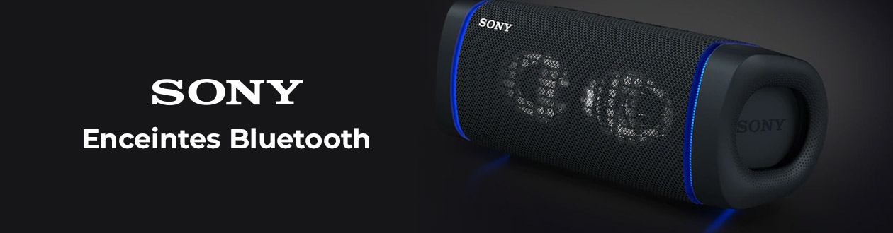 Enceinte Bluetooth portable Sony SRS-XB100, compacte et puissante