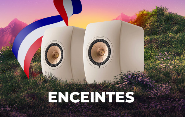 French Days enceintes