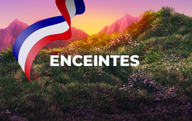French Days enceintes