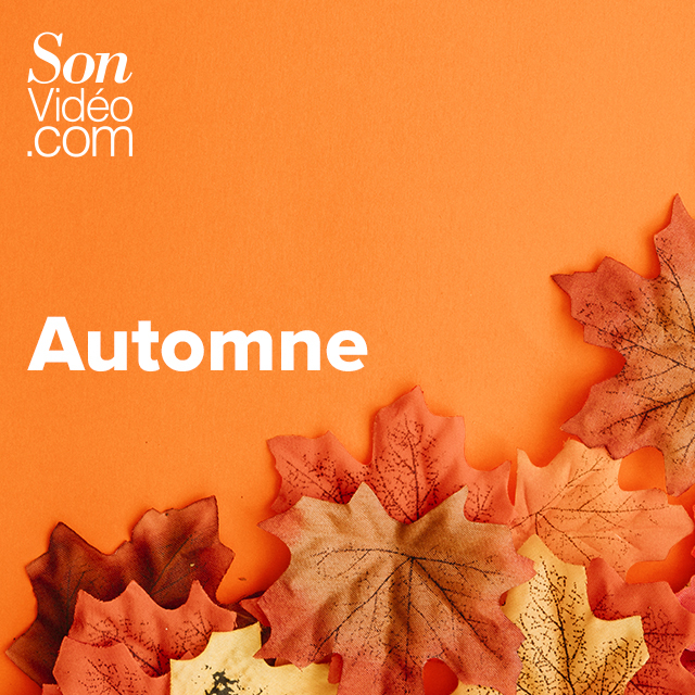 Playlist automne