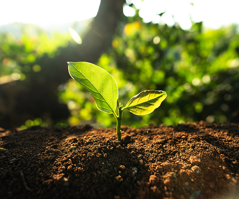 Réutilisation des cartons d’emballage et traitement des déchets