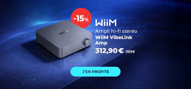 BH : WiiM VibeLink